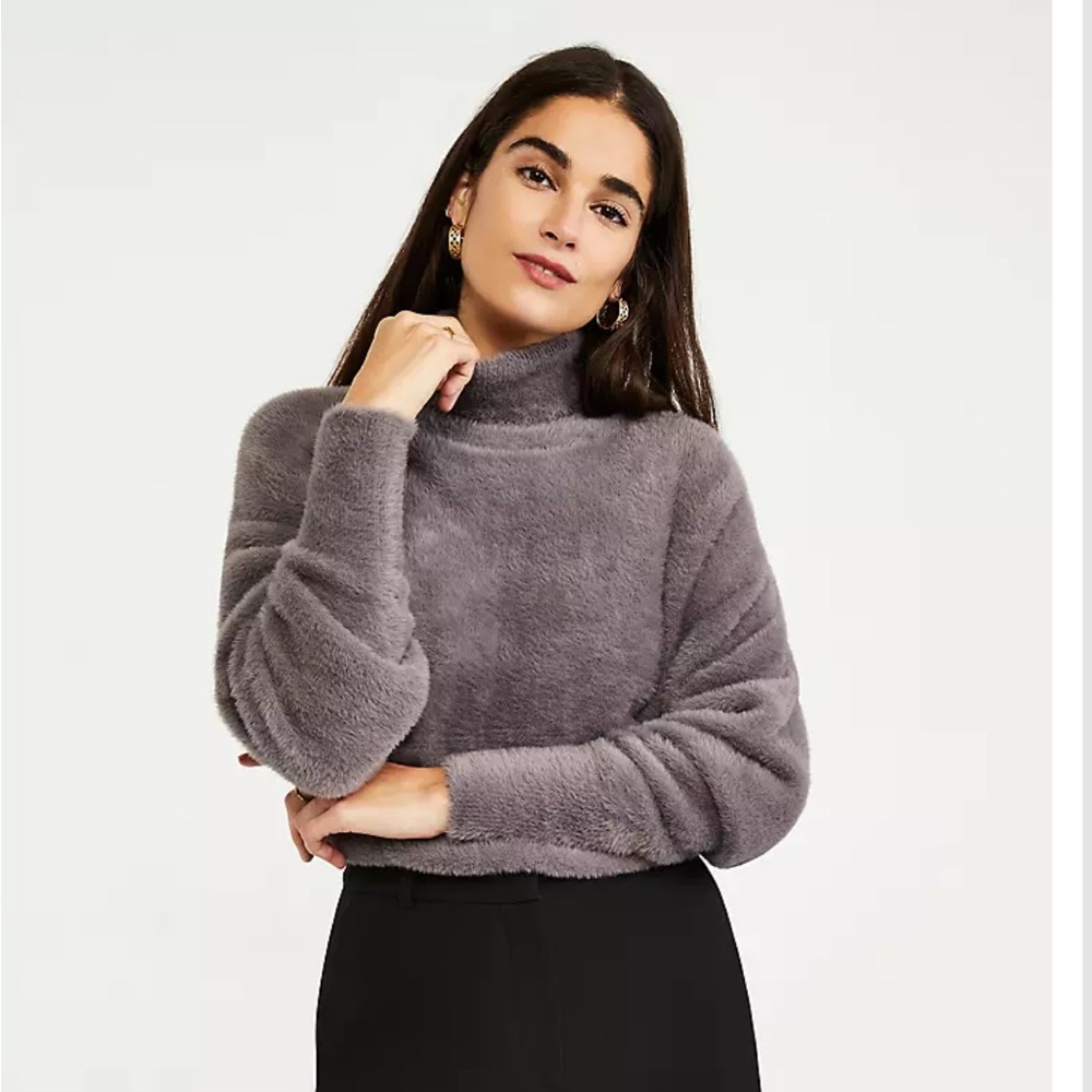 Ann Taylor Plush Cozy Sweater Size Medium